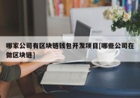 哪家公司有区块链钱包开发项目[哪些公司在做区块链]